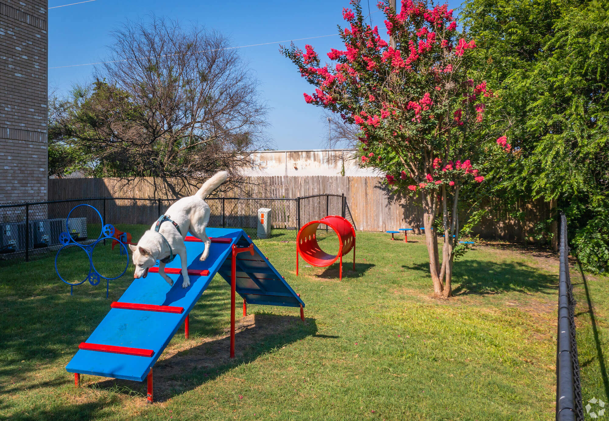 The Avalon Apartments dog park with colorful obstacles